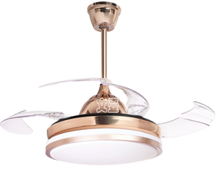 LED Fan Light