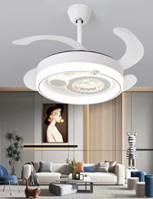 LED Fan Light