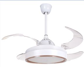 LED Fan Light