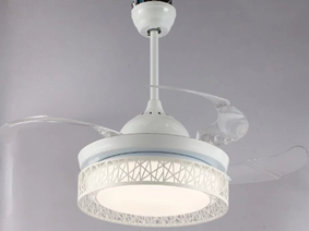 LED Fan Light