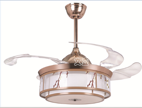 LED Fan Light