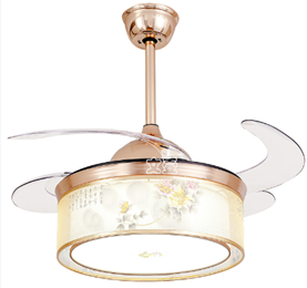 LED Fan Light