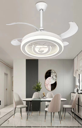 LED Fan Light
