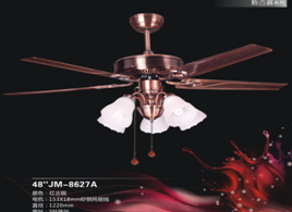 Traditional Fan Light