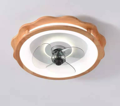 No Move head Bedroom Fan Light