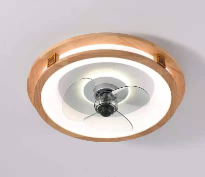 No Move head Bedroom Fan Light