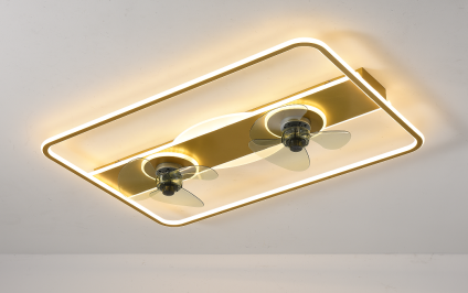 No Move head Bedroom Fan Light