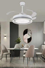 LED Fan Light