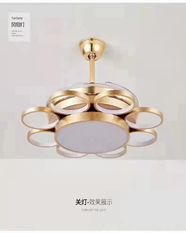 LED Fan Light