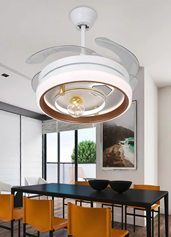 LED Fan Light