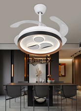 LED Fan Light