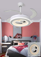 LED Fan Light