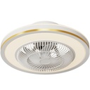 LED Fan Light for Bedroom (副本)
